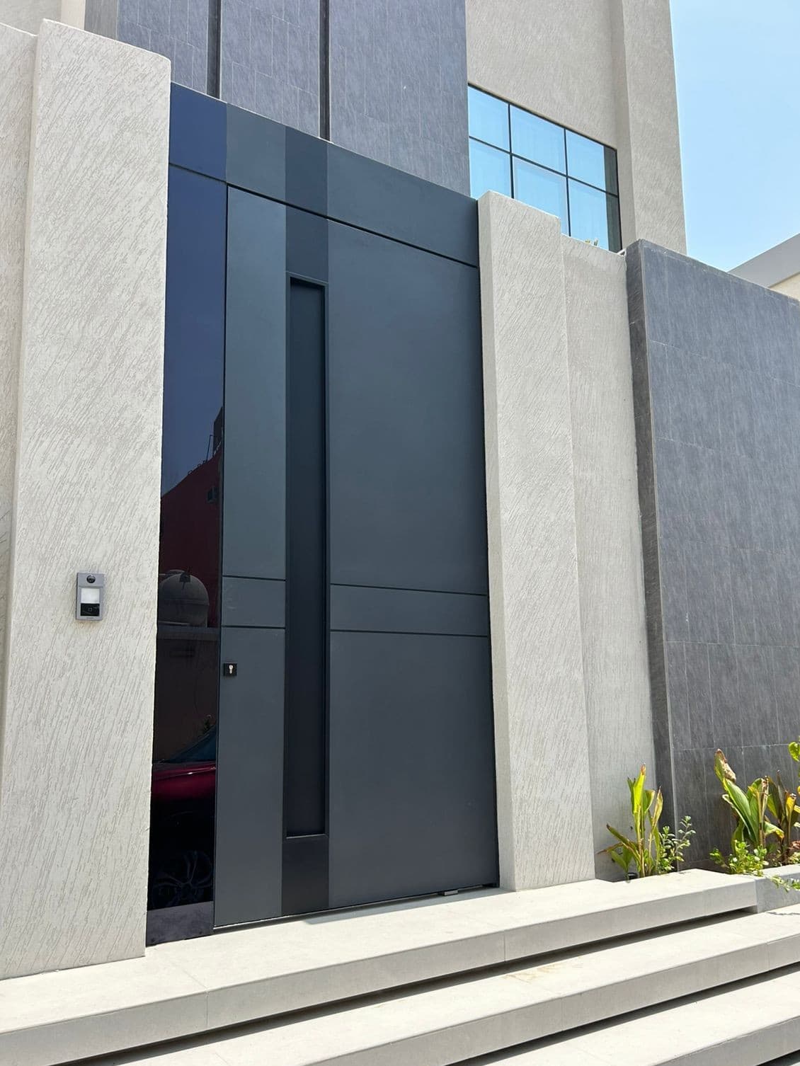 Pivot aluminum door 1